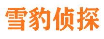 大安区市婚外情调查